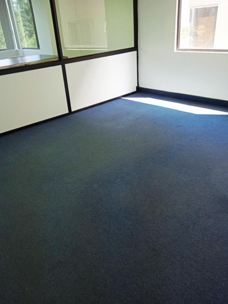 Bonitas y Funcionales Oficinas Ubicadas en La Carolina. Provincia de Pichincha — imagen 8