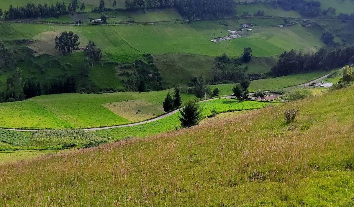 Terreno en Venta, Sector Monjas Bajo, Cayambe — imagen 2