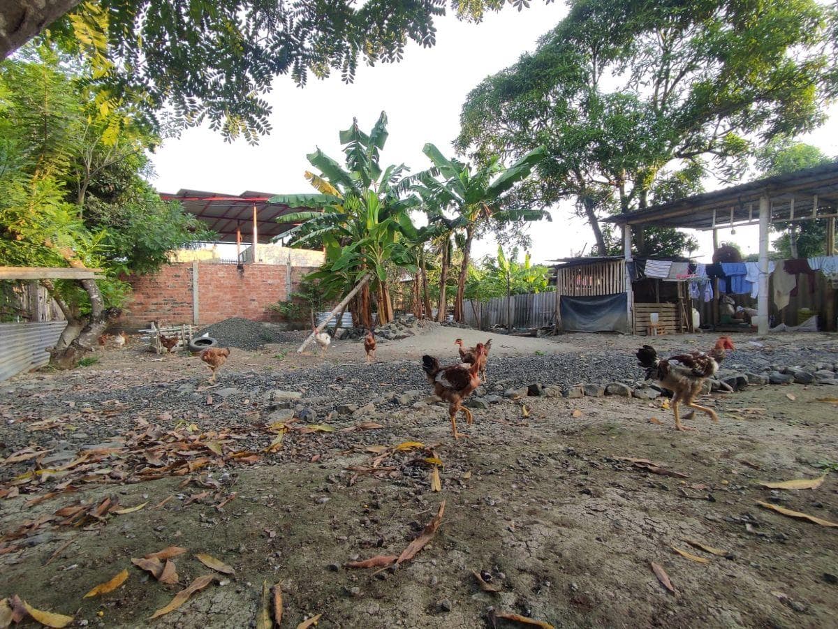Vendo Hermoso Terreno en Los Tamarindos Portoviejo, Manabí — imagen 1