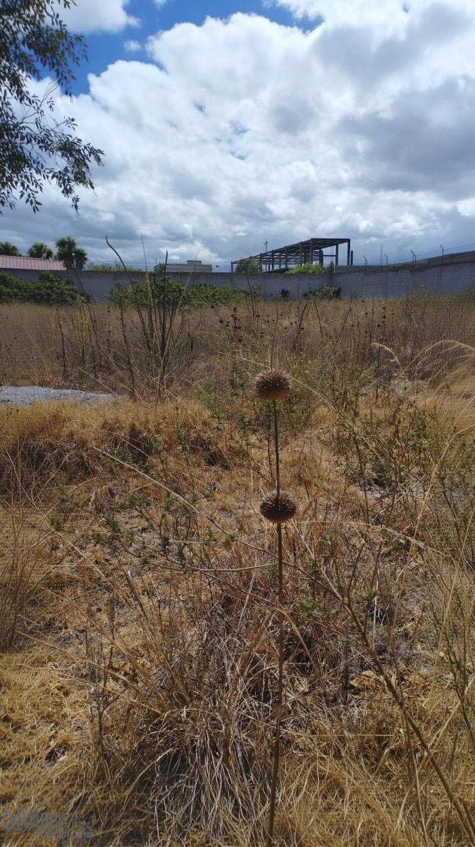 Terreno en Venta 1800 m² Bellavista en Calderón — imagen 1