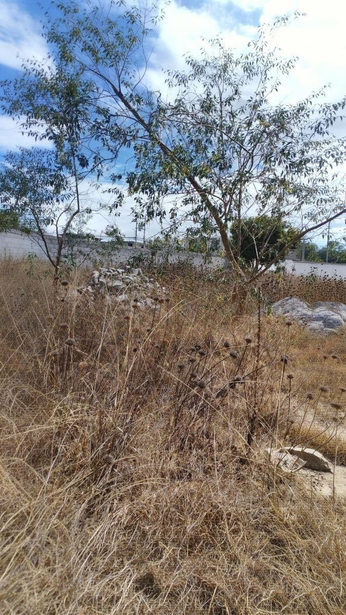 Terreno en Venta 1800 m² Bellavista en Calderón — imagen 4