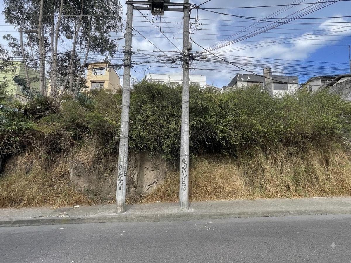 Terreno de Venta, Sector Ponceano — imagen 1