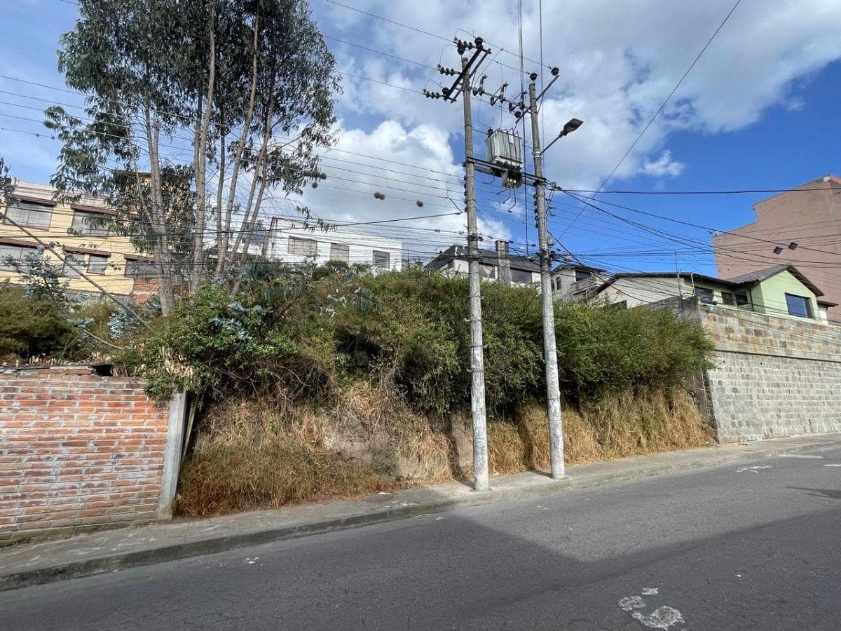 Terreno de Venta, Sector Ponceano — imagen 3