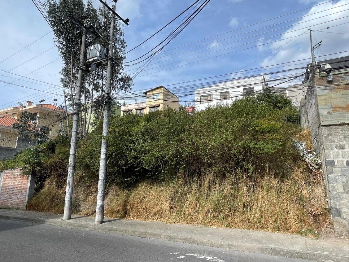 Terreno de Venta, Sector Ponceano — imagen 2