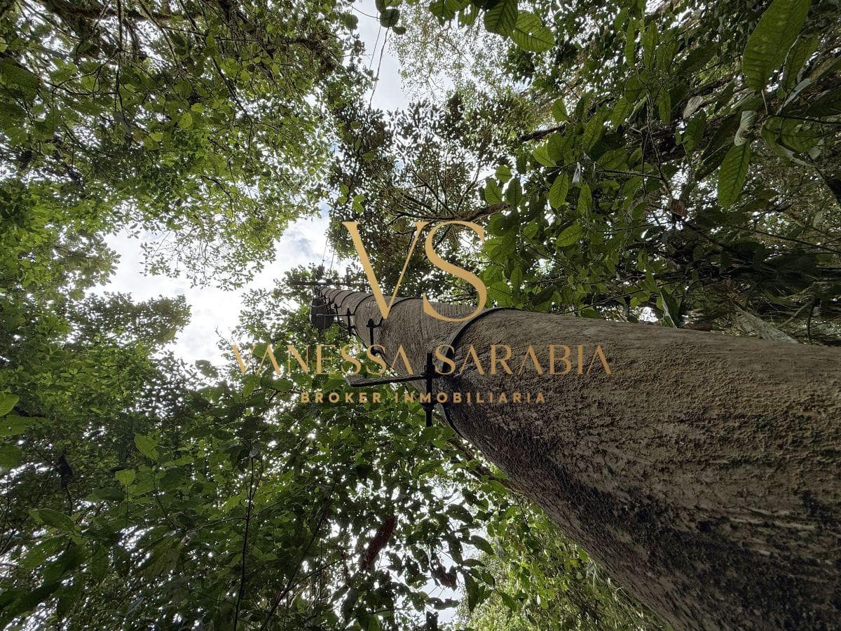 Terreno de m² en Venta en Pedro Vicente Maldonado - Pachijal — imagen 9