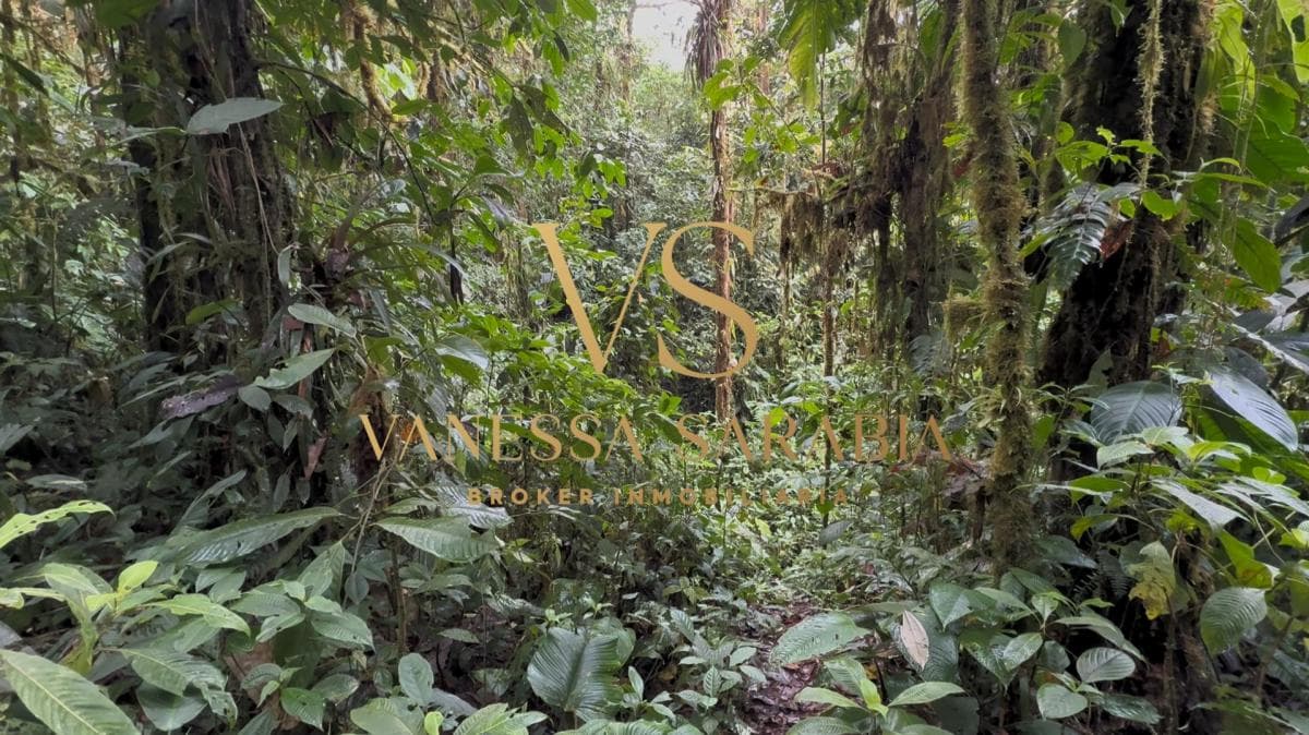 Terreno de m² en Venta en Pedro Vicente Maldonado - Pachijal — imagen 4