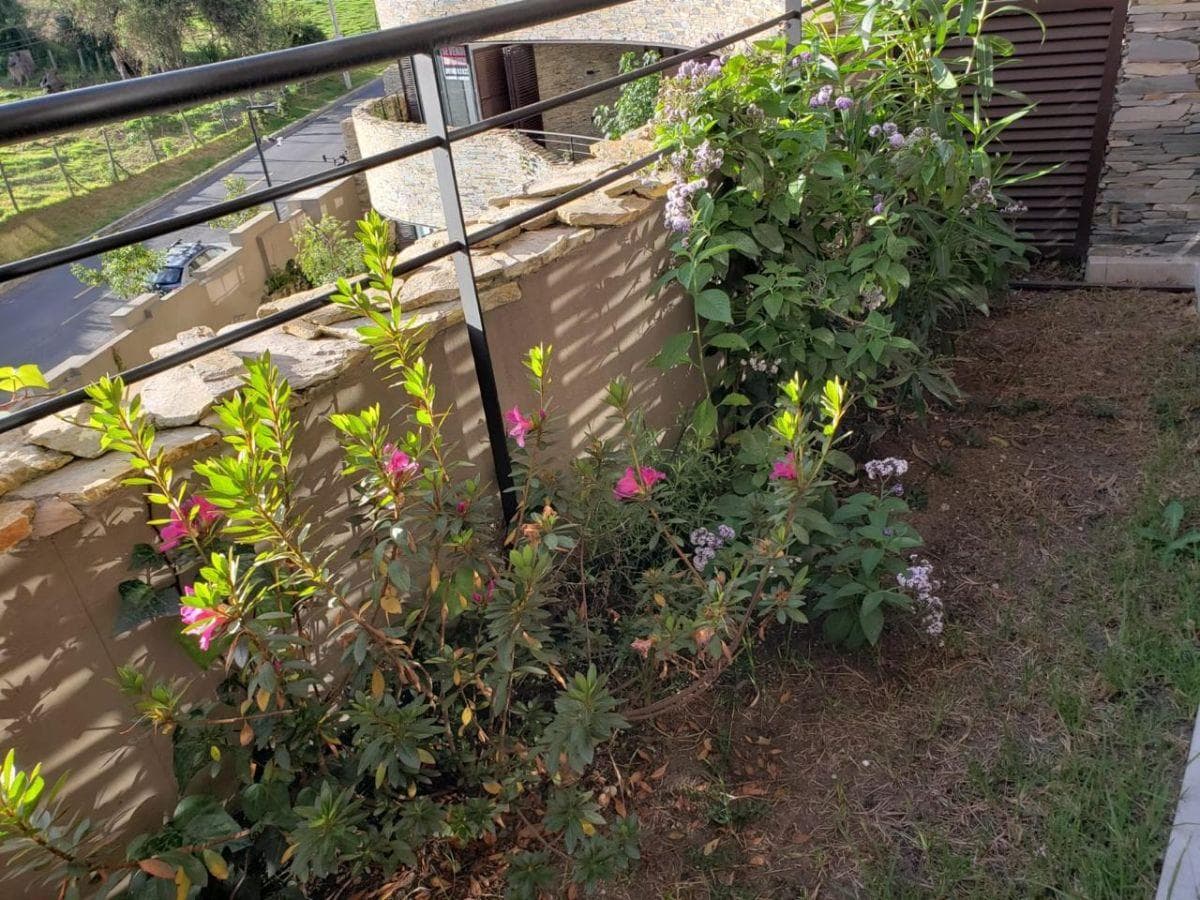 Se Vende Suite — imagen 5