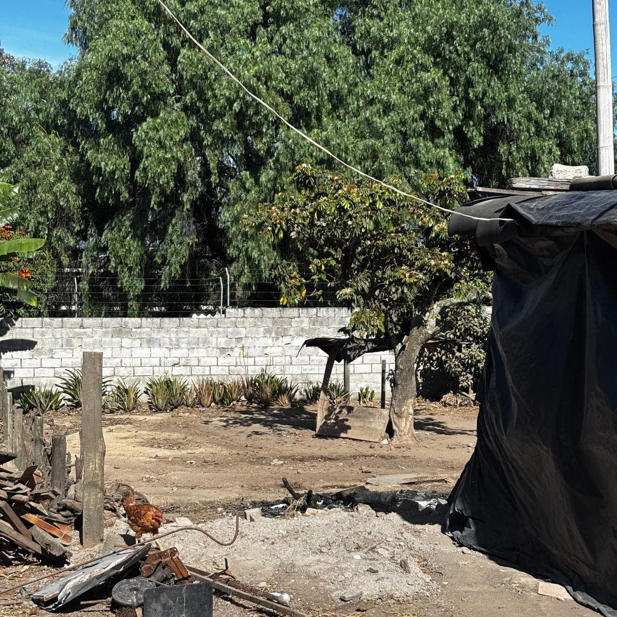 Vendo Terreno de 173 m² en Tanda — imagen 7