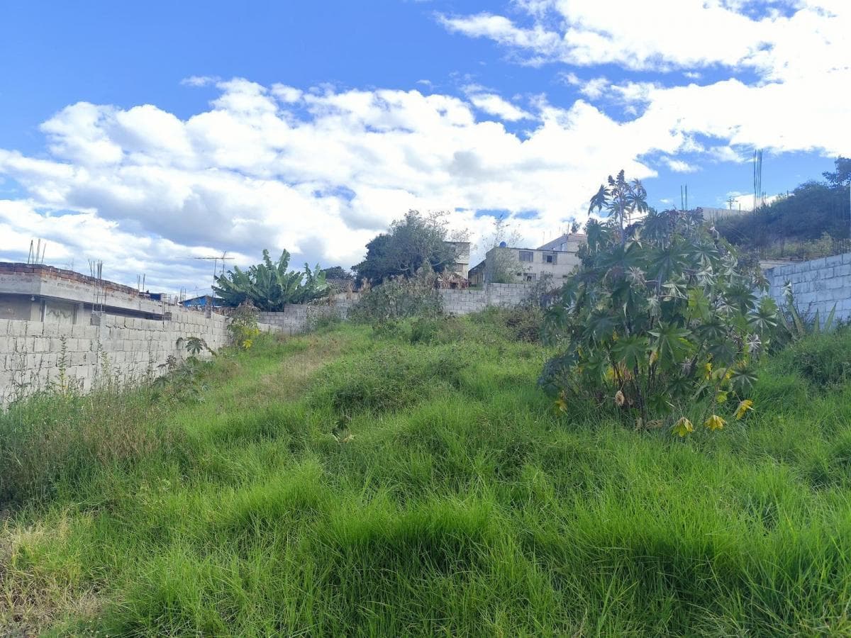 Lotes de Venta, Cumbaya, Sector Francisco de Pinsha, Disponibles 320 y 393 m² Precio Negociable — imagen 7