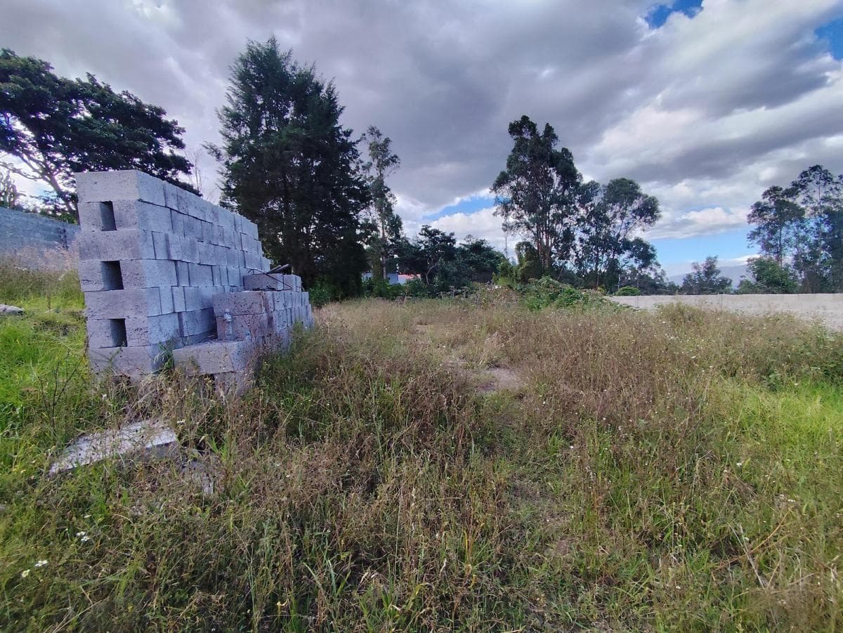 Lotes de Venta, Cumbaya, Sector Francisco de Pinsha, Disponibles 320 y 393 m² Precio Negociable — imagen 6