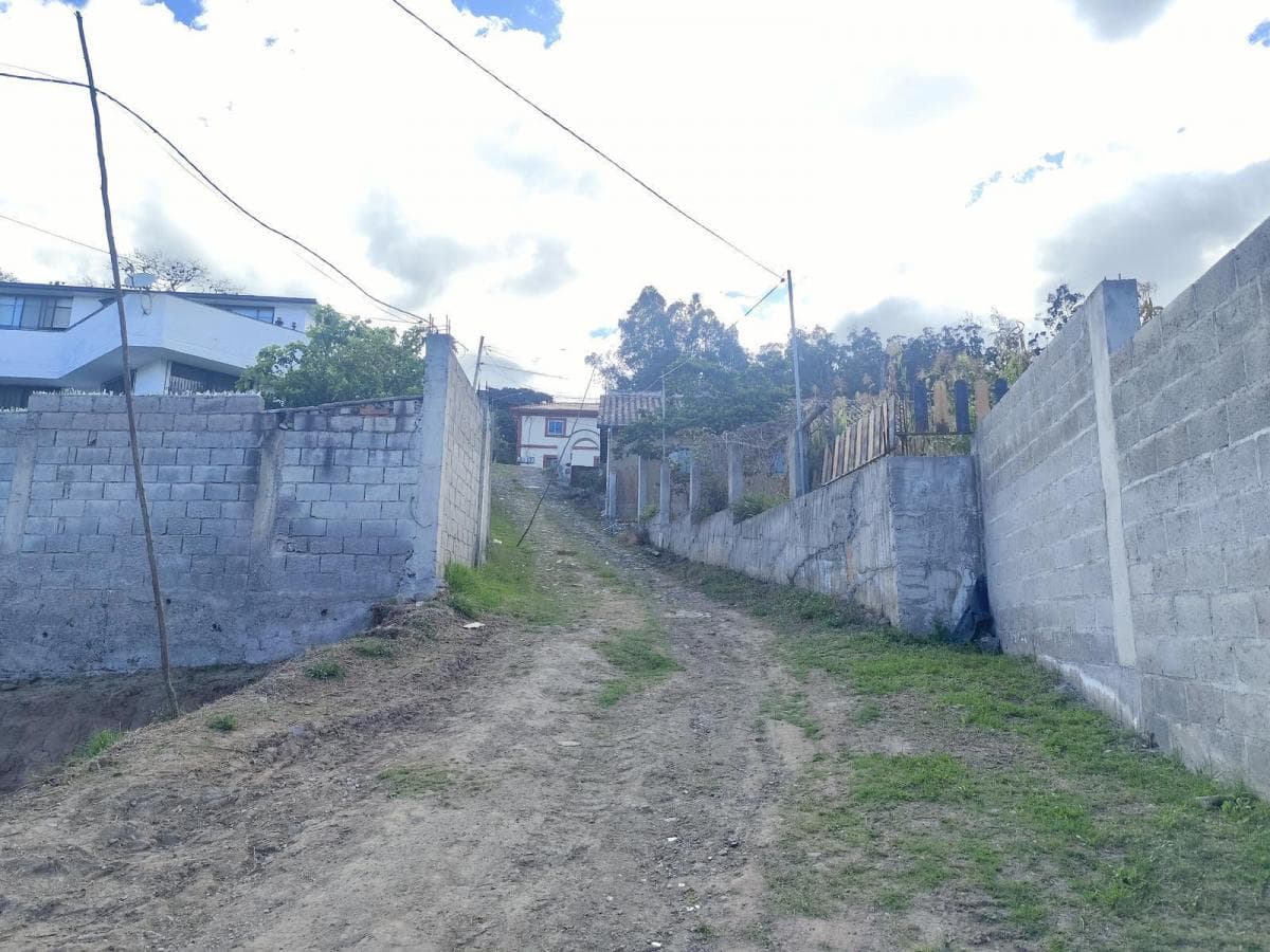 Lotes de Venta, Cumbaya, Sector Francisco de Pinsha, Disponibles 320 y 393 m² Precio Negociable — imagen 4