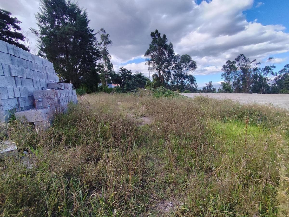 Lotes de Venta, Cumbaya, Sector Francisco de Pinsha, Disponibles 320 y 393 m² Precio Negociable — imagen 3