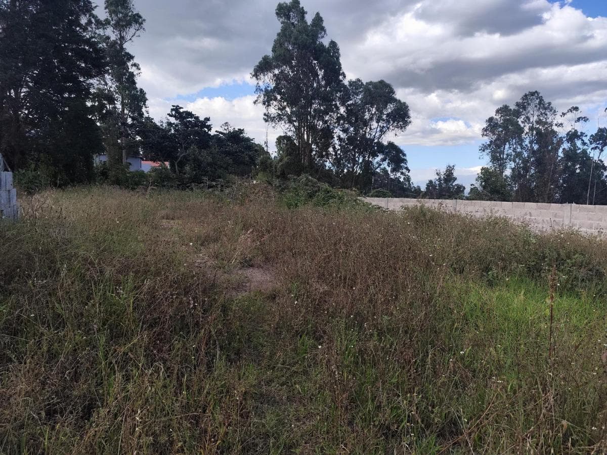 Lotes de Venta, Cumbaya, Sector Francisco de Pinsha, Disponibles 320 y 393 m² Precio Negociable — imagen 2