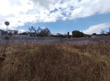 Venta Terreno Sector Nayón — imagen 4