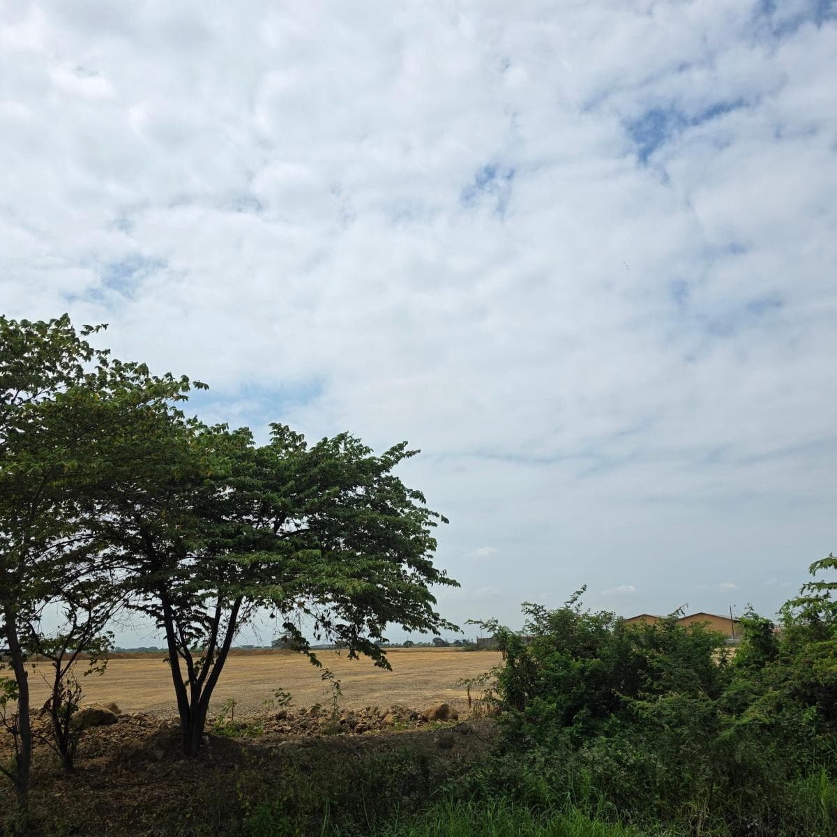 Vendo Terreno Ideal Para Urbanización, El Nuevo Samborondon, La Barranca, Atras de La Peninsula Cc, Guayas — imagen 1