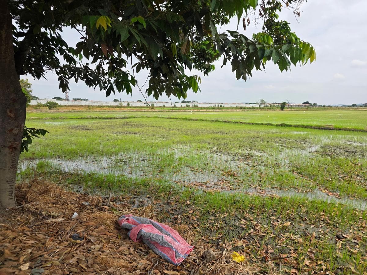 Vendo Terreno Ideal Para Urbanización, El Nuevo Samborondon, La Barranca, Atras de La Peninsula Cc, Guayas — imagen 10