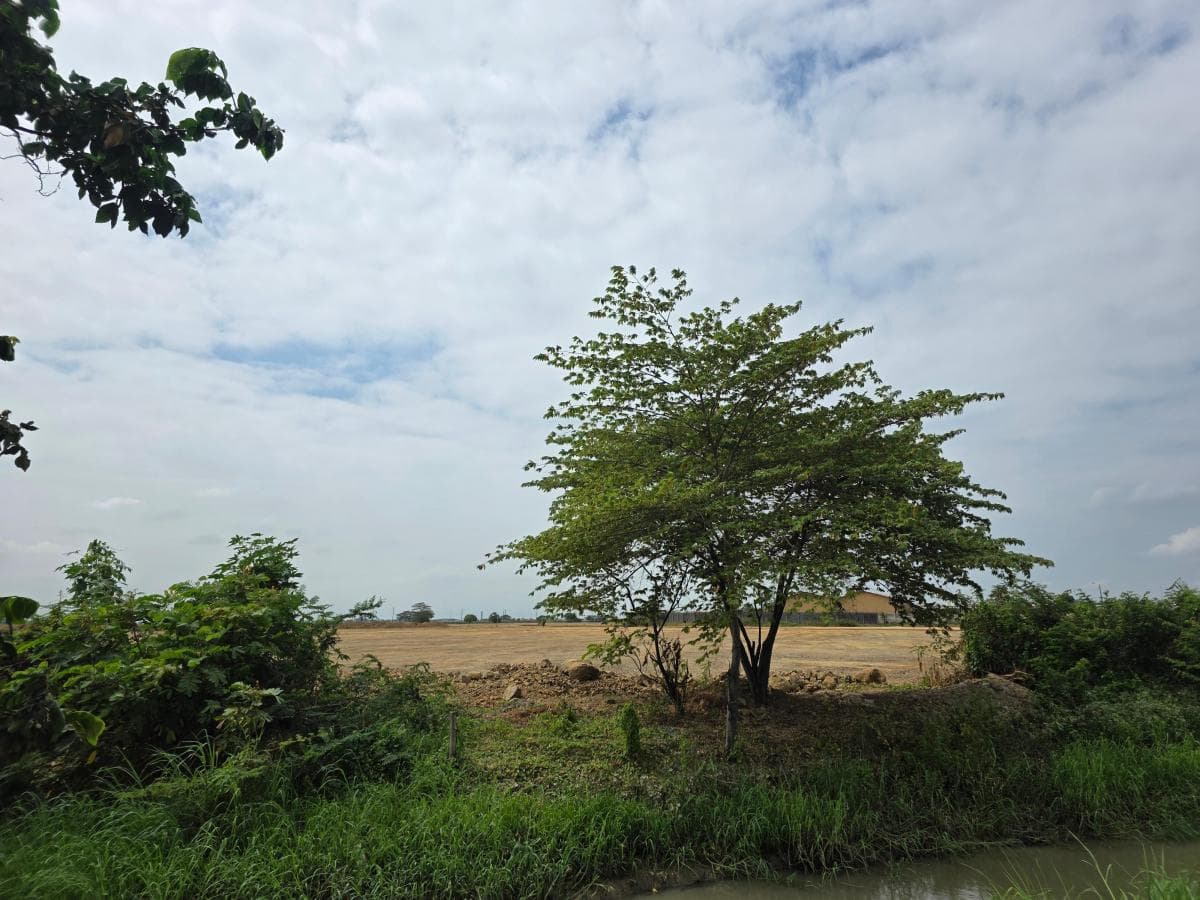 Vendo Terreno Ideal Para Urbanización, El Nuevo Samborondon, La Barranca, Atras de La Peninsula Cc, Guayas — imagen 8