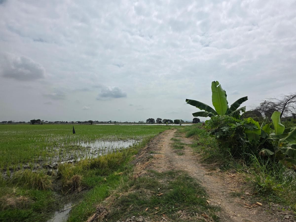 Vendo Terreno Ideal Para Urbanización, El Nuevo Samborondon, La Barranca, Atras de La Peninsula Cc, Guayas — imagen 7