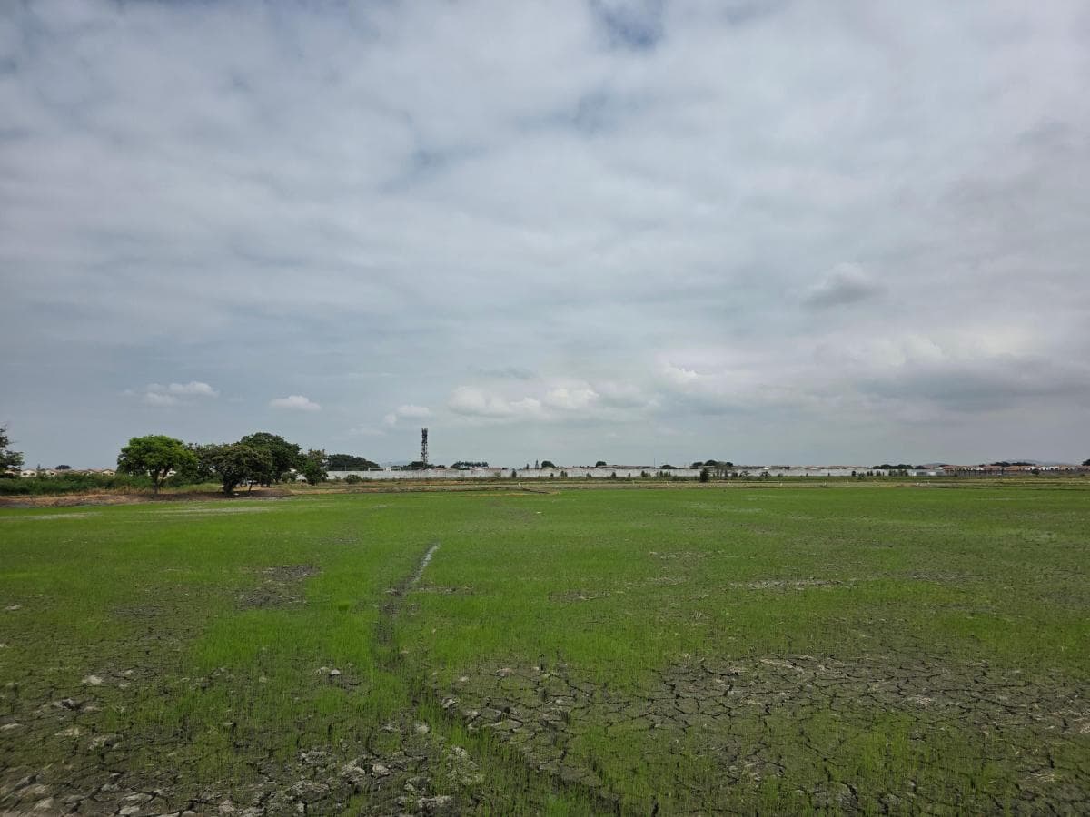 Vendo Terreno Ideal Para Urbanización, El Nuevo Samborondon, La Barranca, Atras de La Peninsula Cc, Guayas — imagen 5