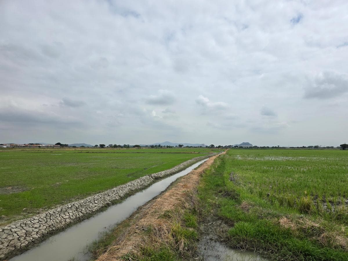 Vendo Terreno Ideal Para Urbanización, El Nuevo Samborondon, La Barranca, Atras de La Peninsula Cc, Guayas — imagen 3