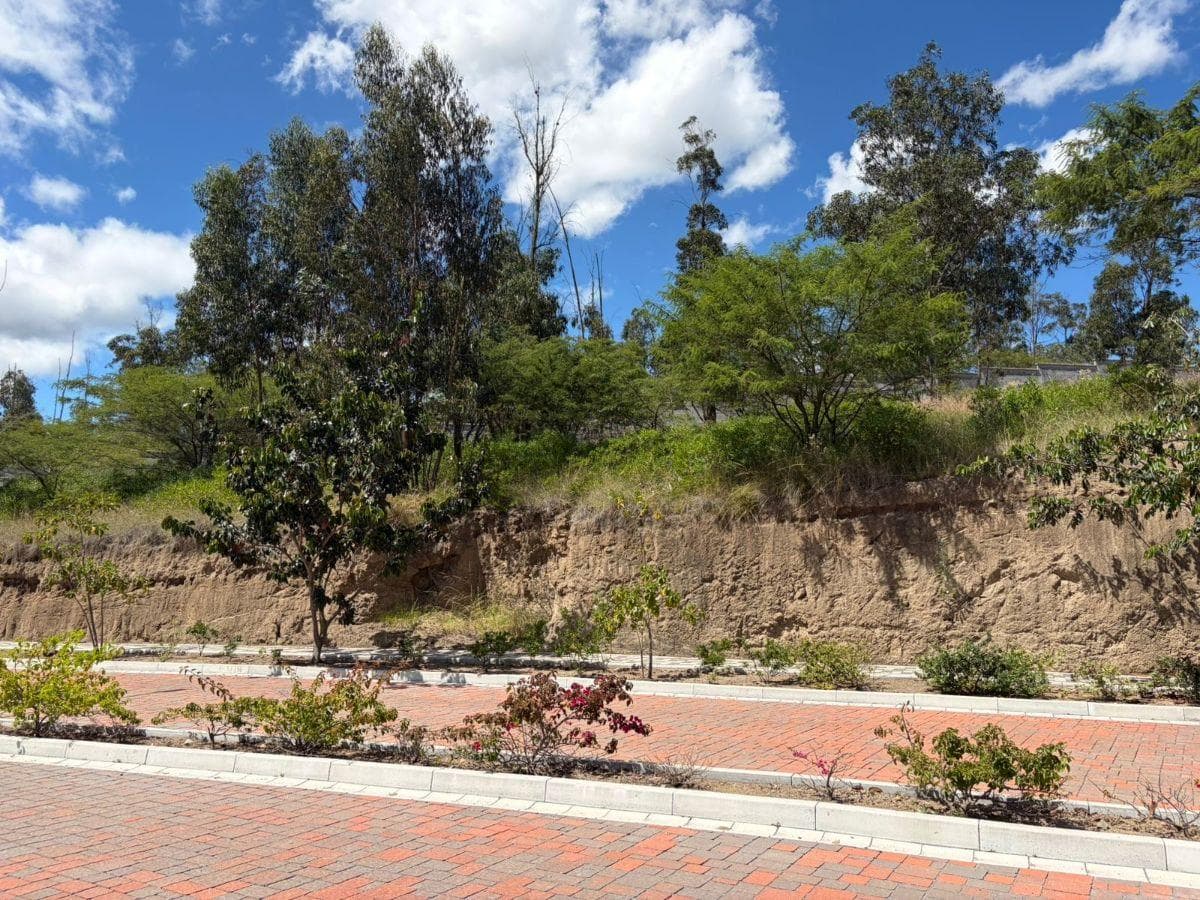 Terreno de 1111 m² en Venta en Tumbaco — imagen 10