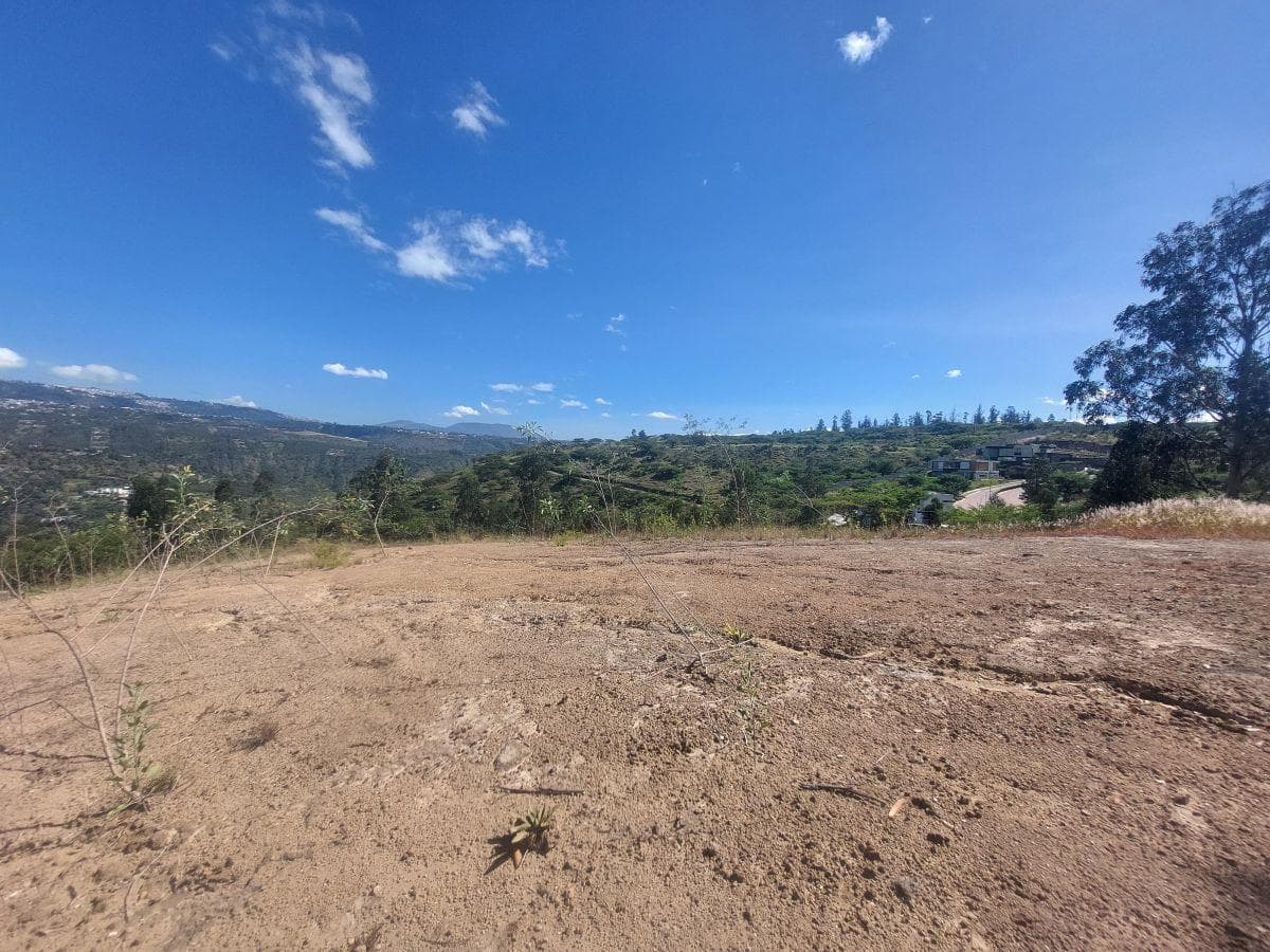 Terreno de 1111 m² en Venta en Tumbaco — imagen 9