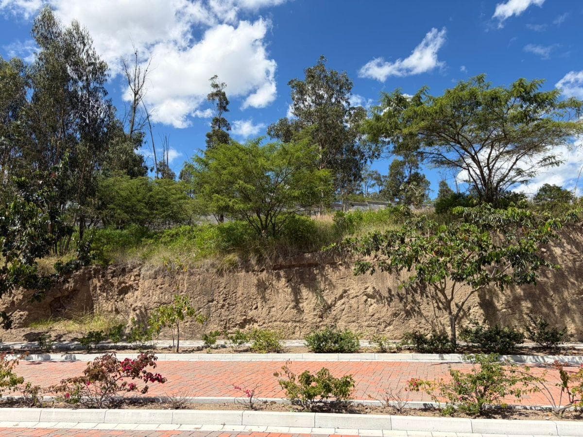 Terreno de 1111 m² en Venta en Tumbaco — imagen 8