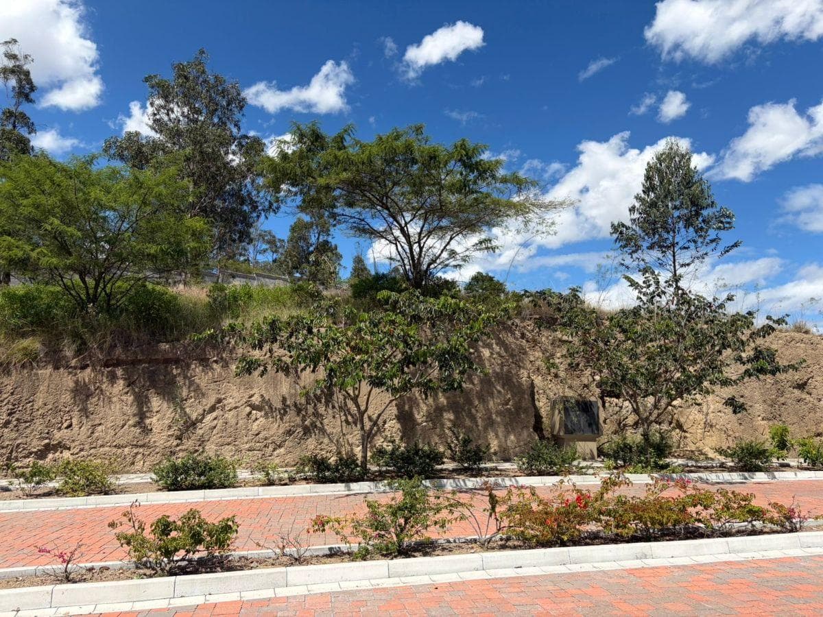 Terreno de 1111 m² en Venta en Tumbaco — imagen 7