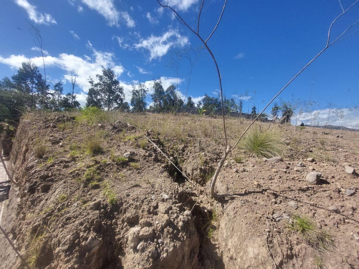Terreno de 1111 m² en Venta en Tumbaco — imagen 6