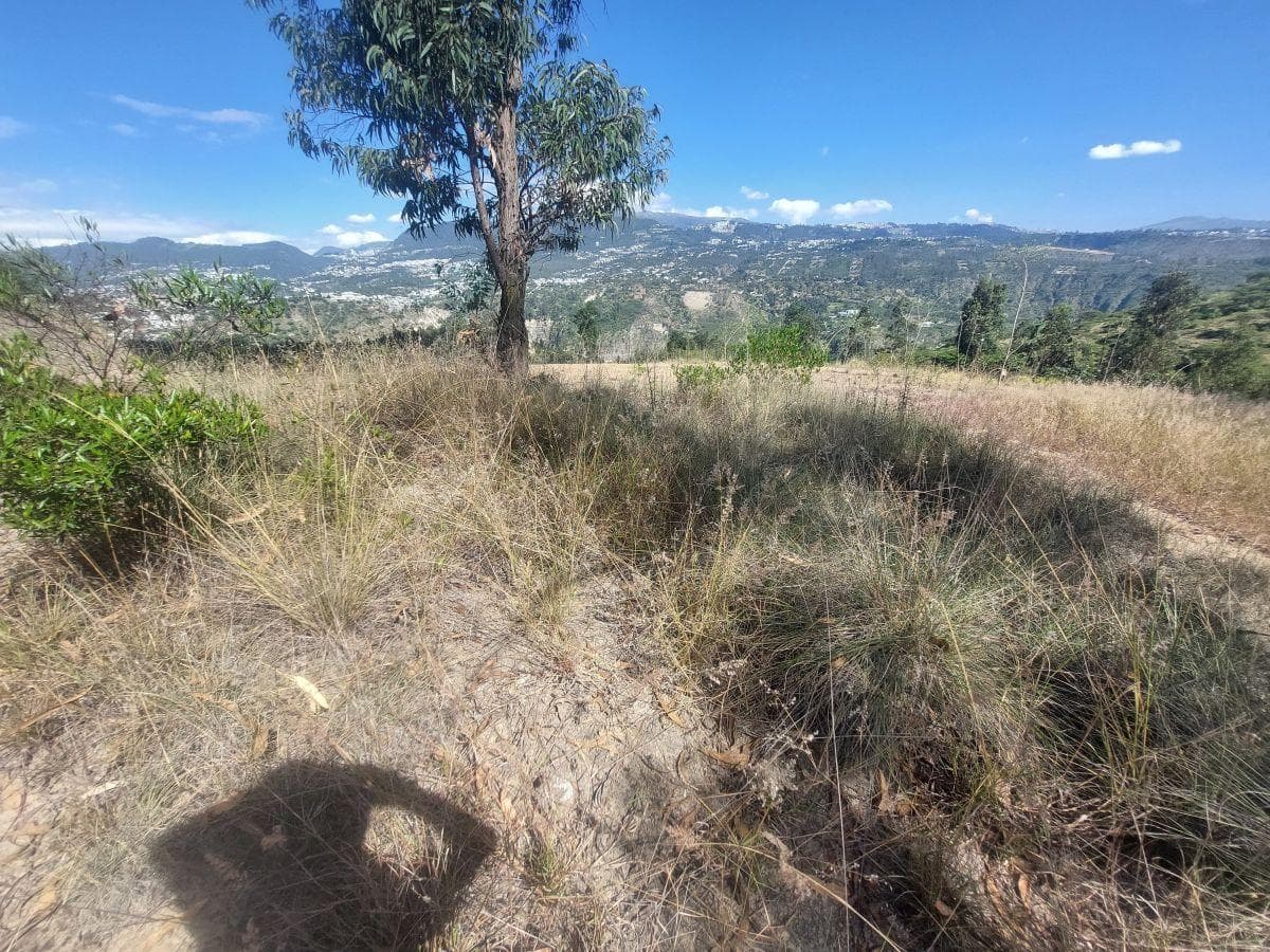 Terreno de 1111 m² en Venta en Tumbaco — imagen 5