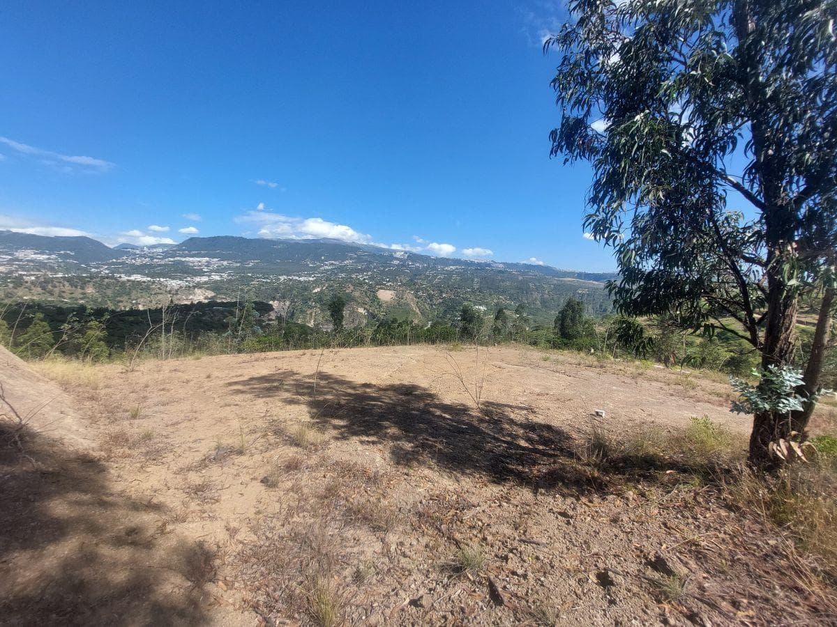 Terreno de 1111 m² en Venta en Tumbaco — imagen 3