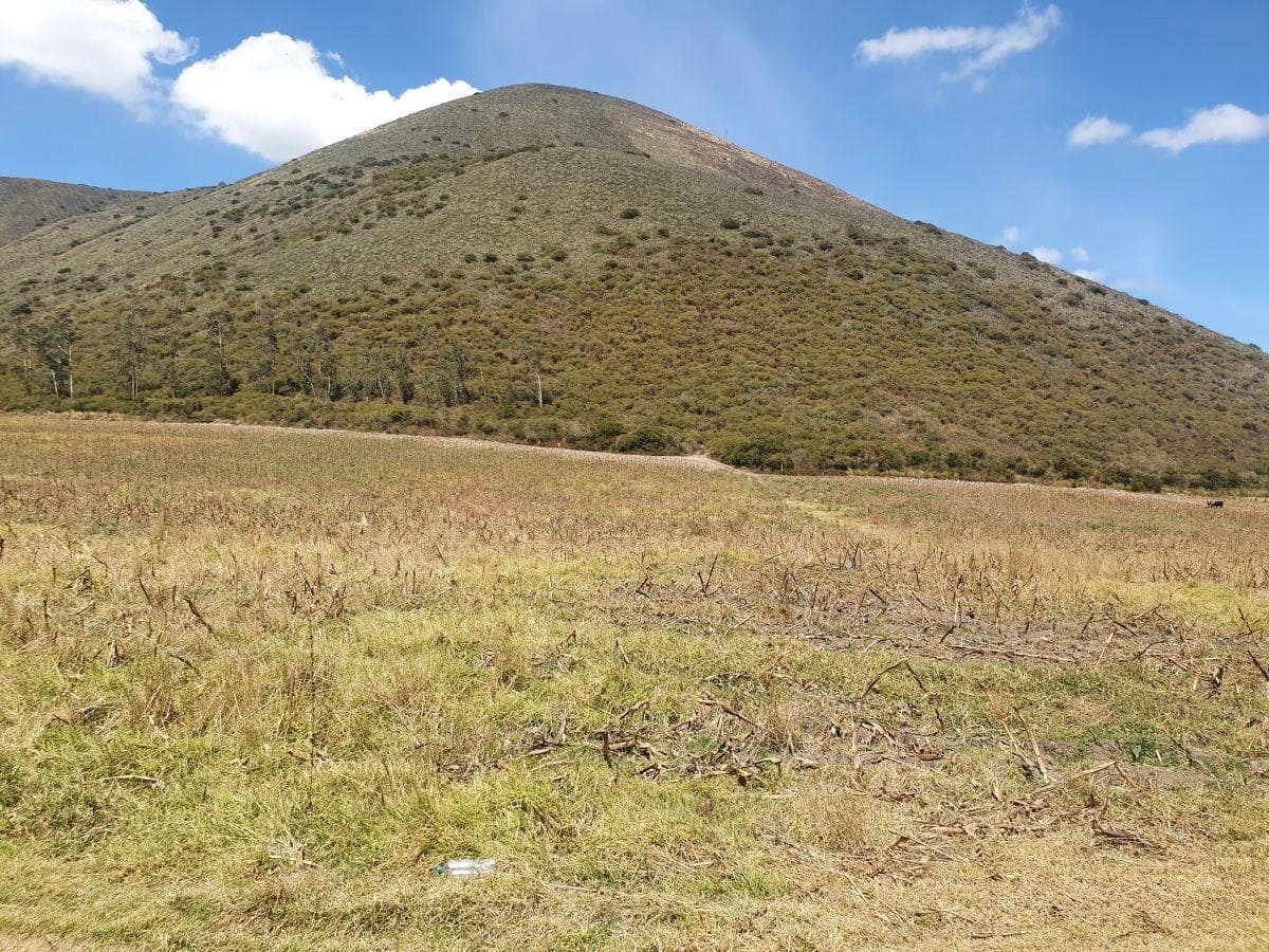Terreno de Uso Industrial en Venta – 45.000 m² – Calacalí — imagen 1