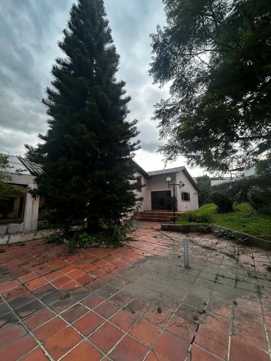 Terreno de 5882 m² en Venta en Cumbayá Frente a Muebles Colineal — imagen 5