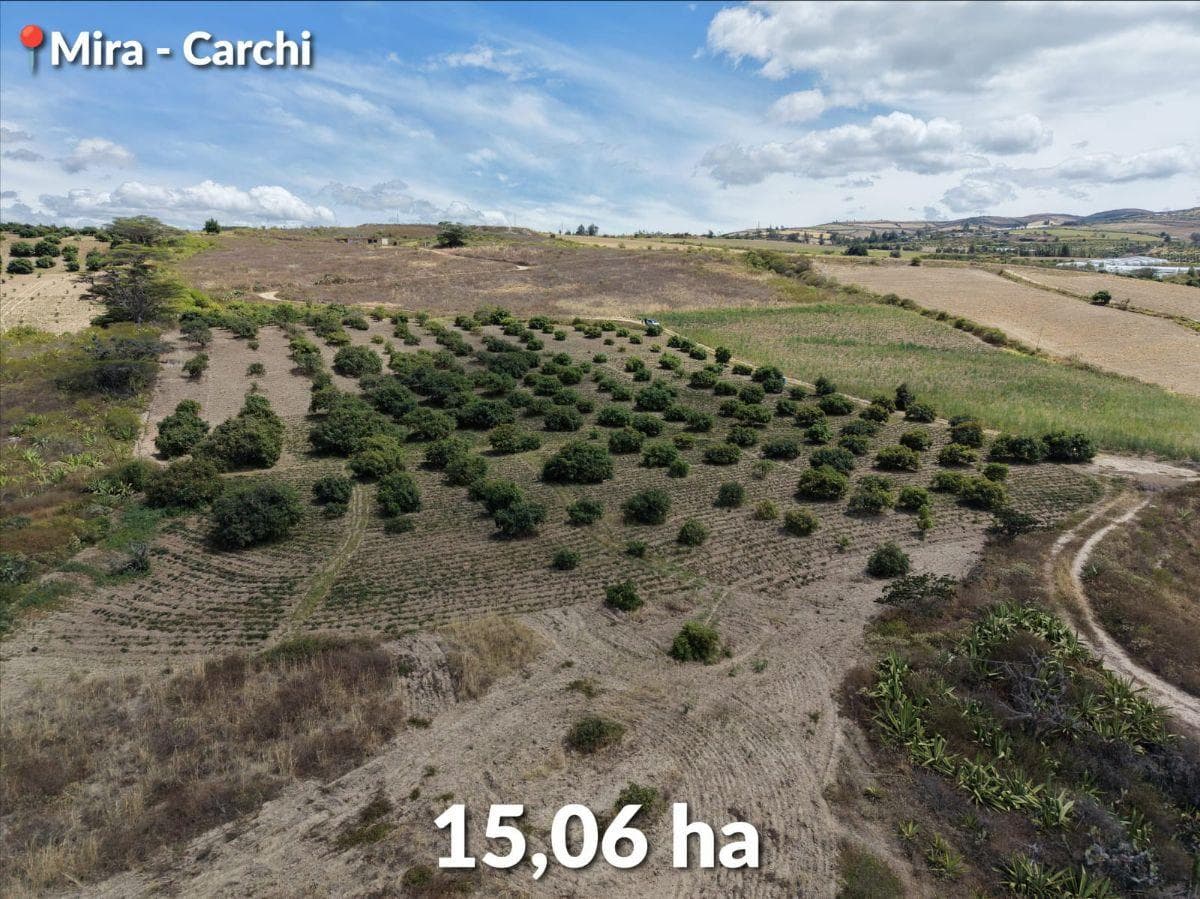 Se Vende Predio de 15 Hectáreas, Mira, Provincia del Carchi, Carchi — imagen 7