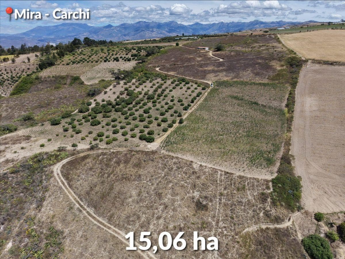 Se Vende Predio de 15 Hectáreas, Mira, Provincia del Carchi, Carchi — imagen 4