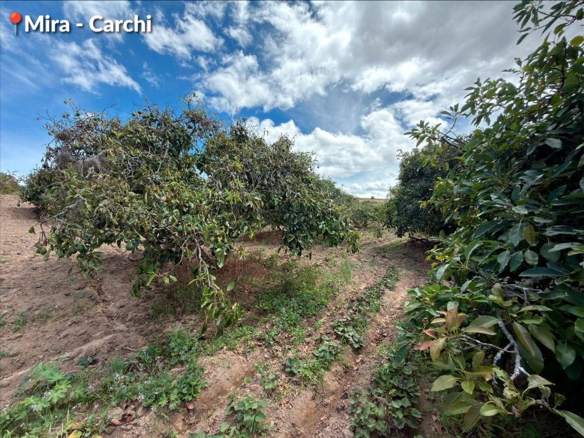 Se Vende Predio de 15 Hectáreas, Mira, Provincia del Carchi, Carchi — imagen 3