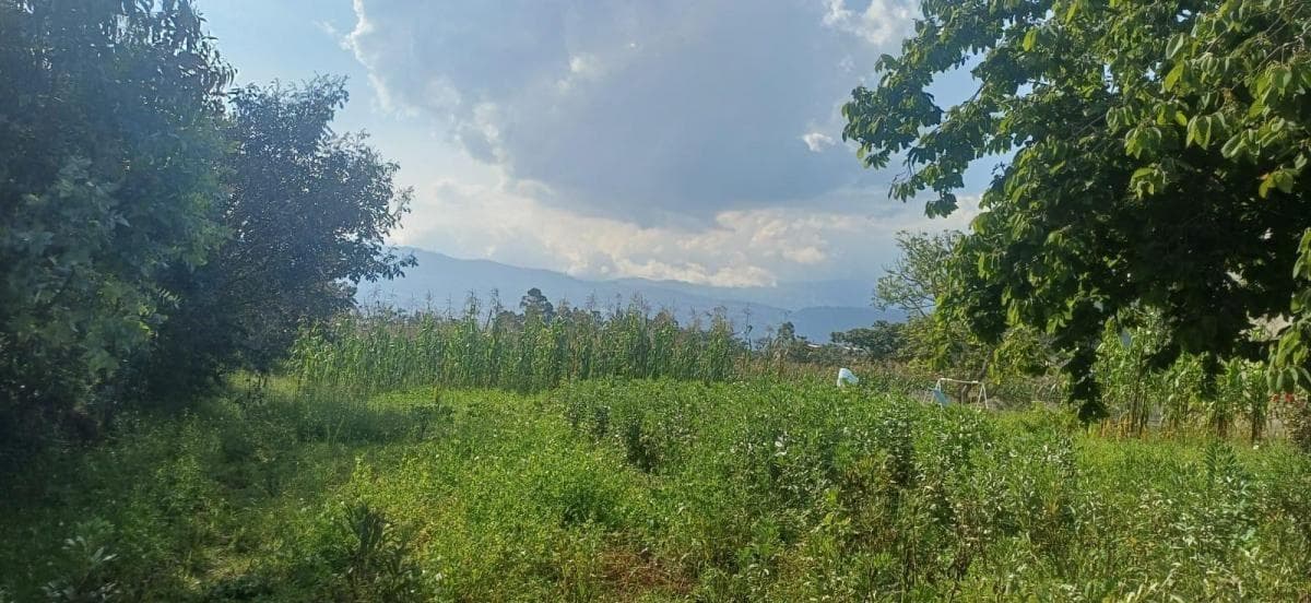 Terreno de 1988 m² en Venta en Alangasí — imagen 1
