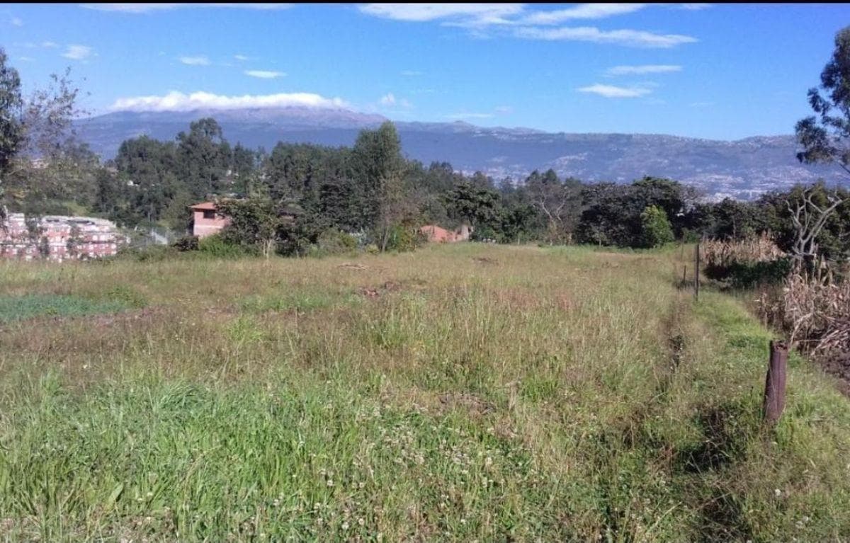 Terreno de 1988 m² en Venta en Alangasí — imagen 6