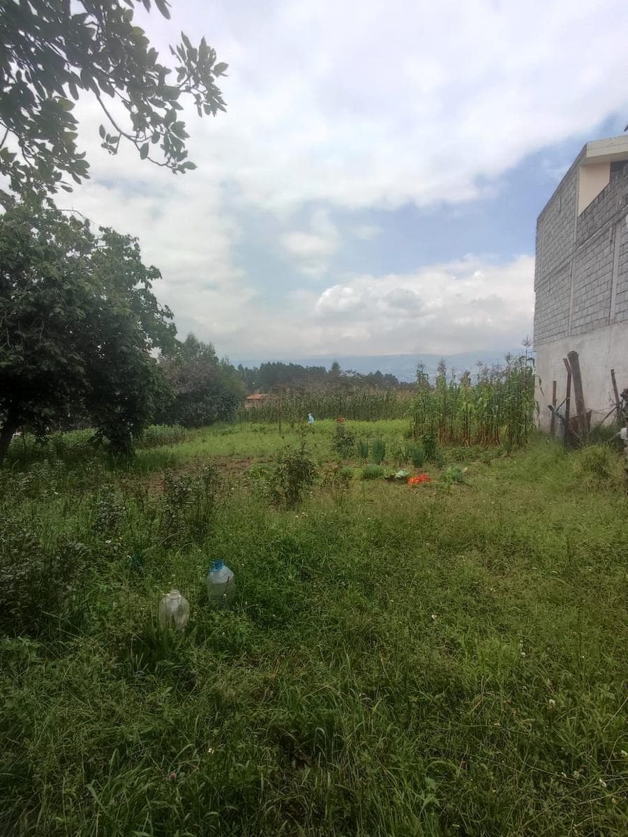 Terreno de 1988 m² en Venta en Alangasí — imagen 5