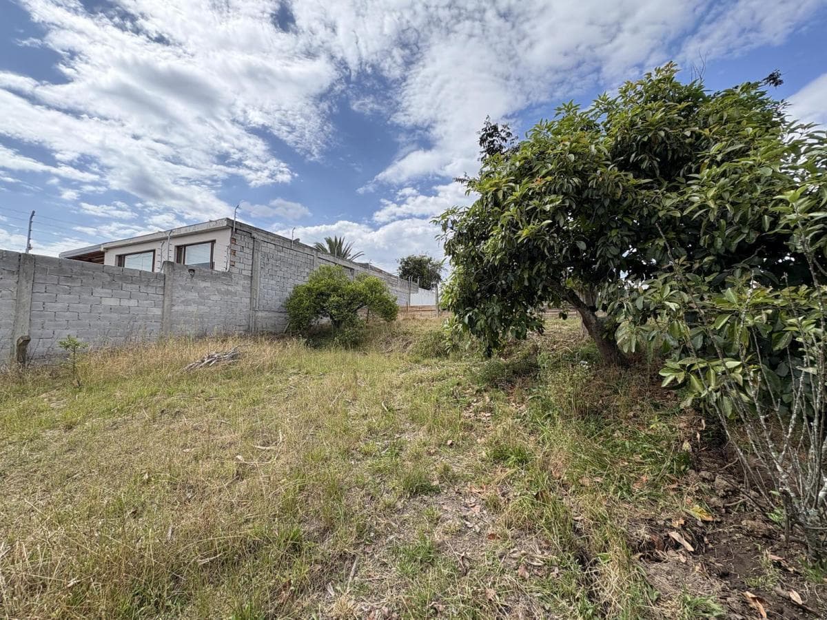 Terreno de Venta Para Conjunto La Morita Tumbaco — imagen 9