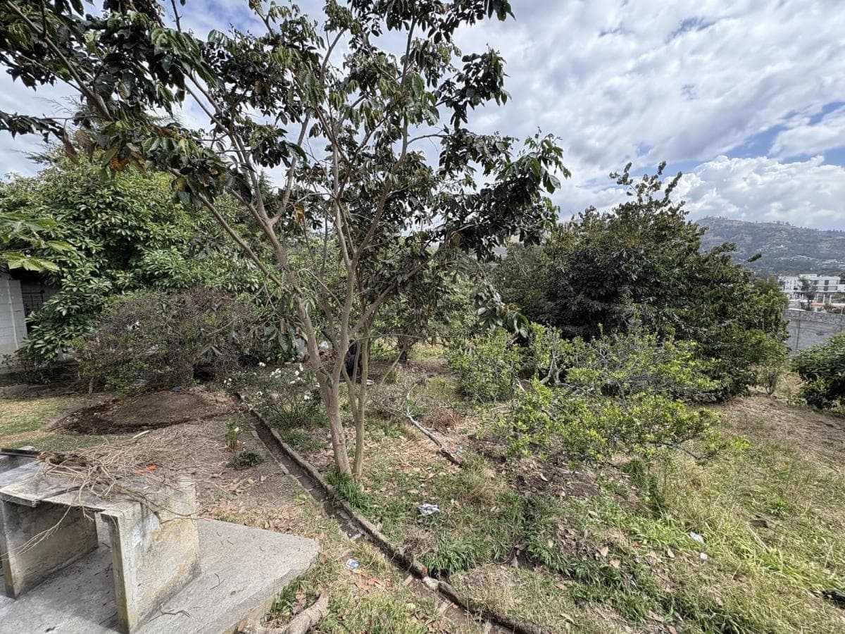Terreno de Venta Para Conjunto La Morita Tumbaco — imagen 4