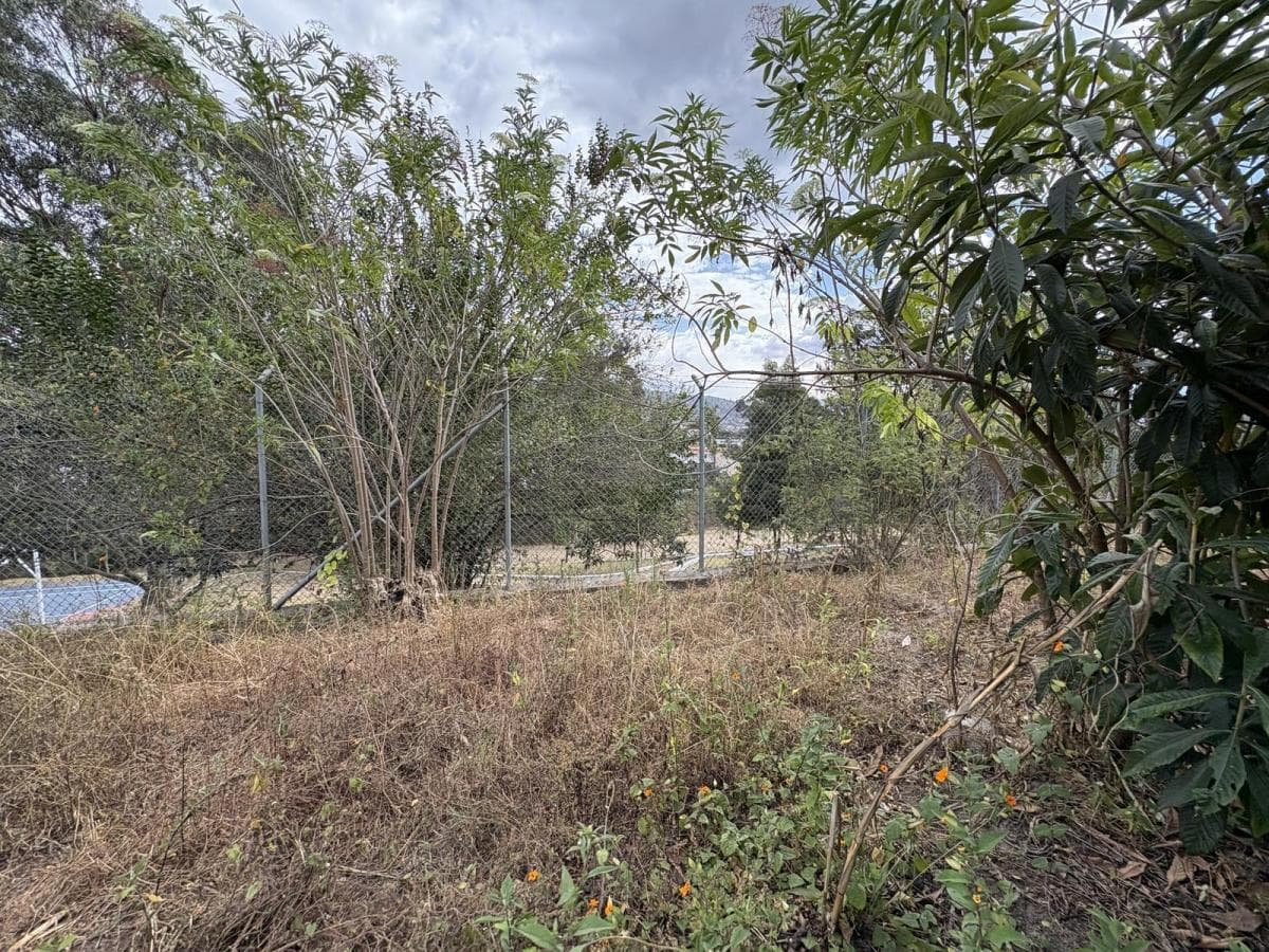 Terreno de Venta Para Conjunto La Morita Tumbaco — imagen 2