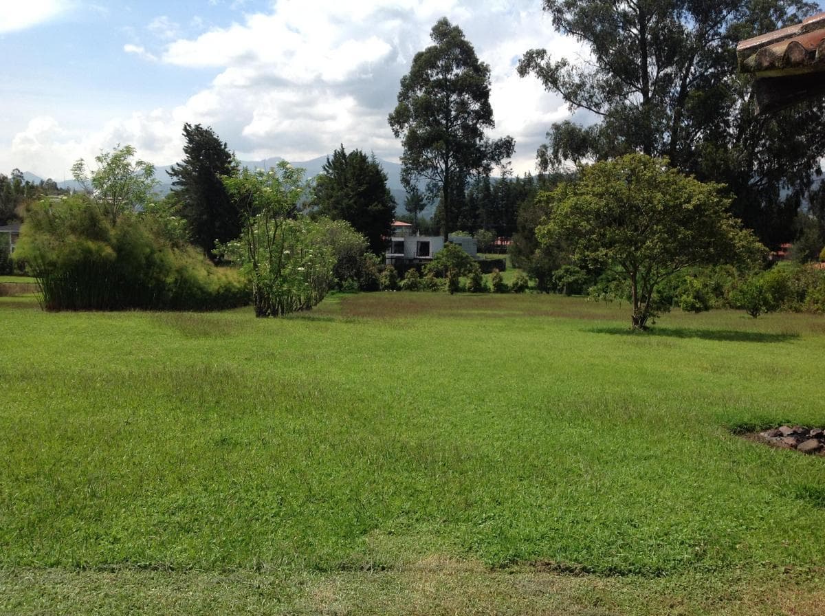Venta Hermosa Quinta 5 Dorm. con Terreno de 9652 m² en El Valle de Los Chillos - Quito — imagen 6