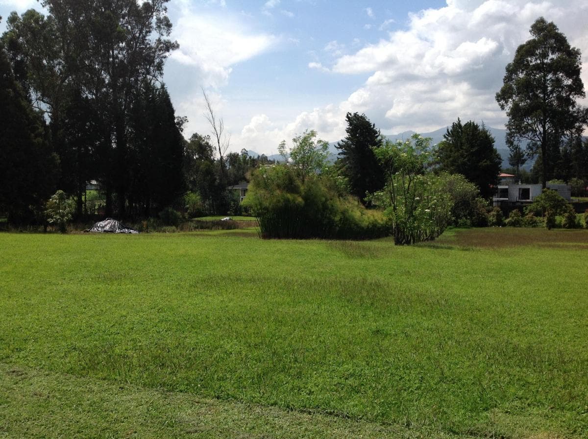 Venta Hermosa Quinta 5 Dorm. con Terreno de 9652 m² en El Valle de Los Chillos - Quito — imagen 5