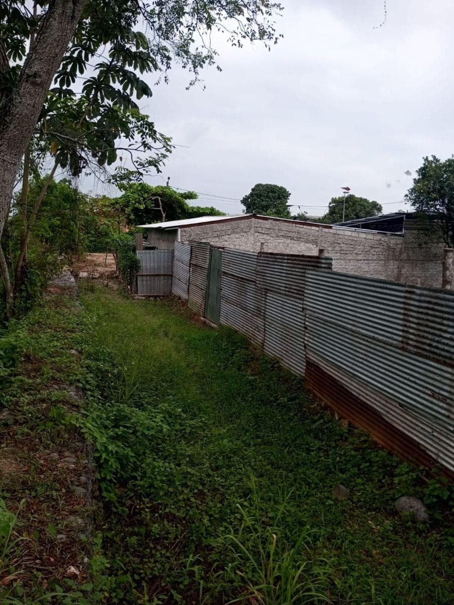 Terreno en Venta, Pasaje, Ltz. San Gabriel, El Oro — imagen 5