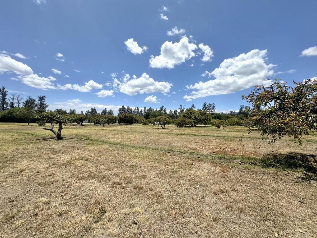 Terreno de Venta Plano en Arrayanes Puembo — imagen 7