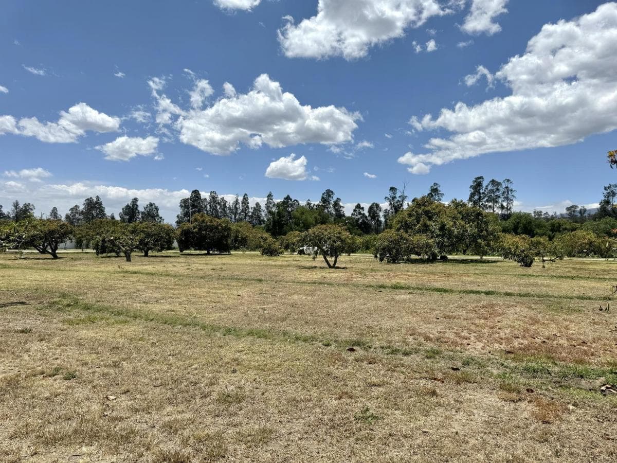 Terreno de Venta Plano en Arrayanes Puembo — imagen 6