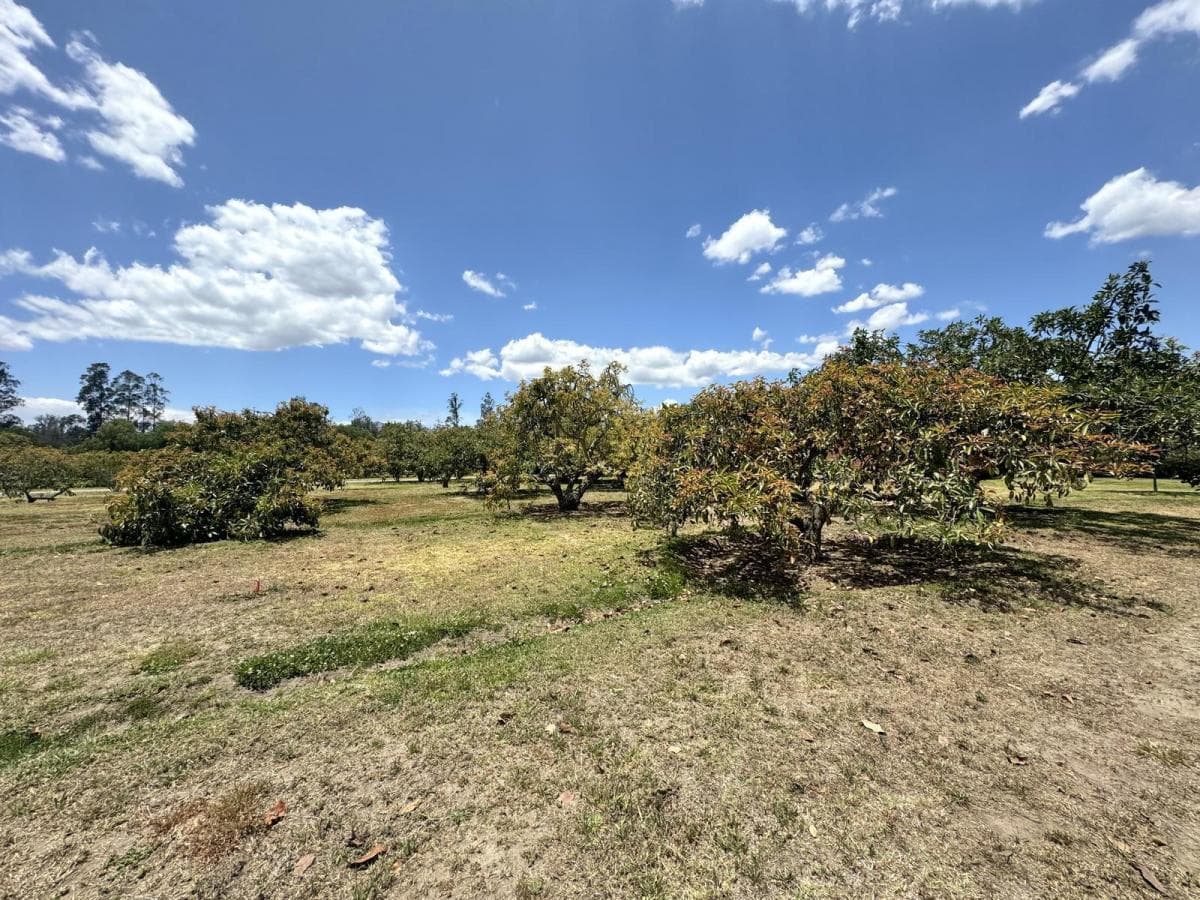 Terreno de Venta Plano en Arrayanes Puembo — imagen 5