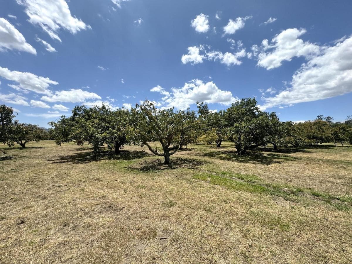 Terreno de Venta Plano en Arrayanes Puembo — imagen 4