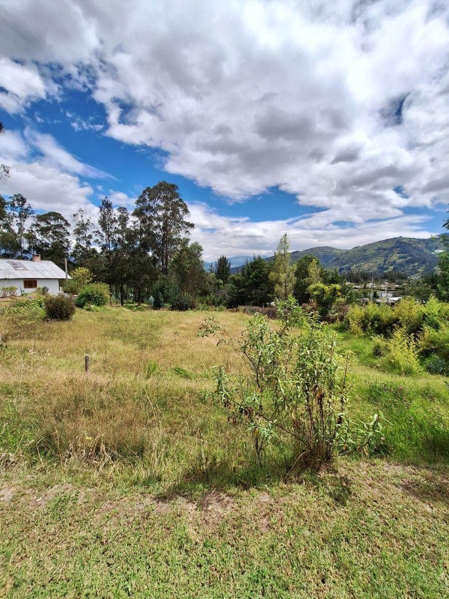 Land Development Opportunity | Los Chillos Valley | Quito – Ecuador — imagen 6